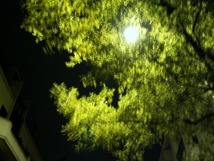 20061022 042244